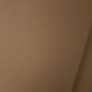 Meet your Posher, Monae